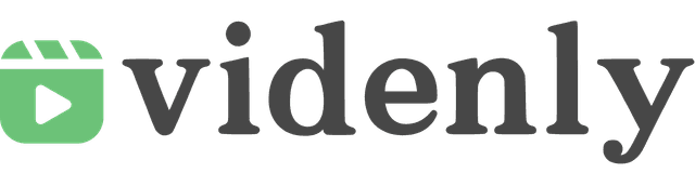 Videnly Logo